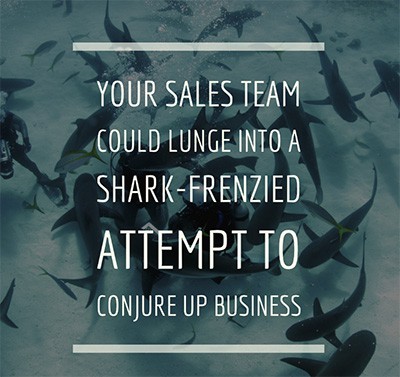 Shark frenzy